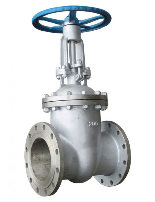 Задвижка нержавеющая 30нж41нж (PN 16, DN 50-400)