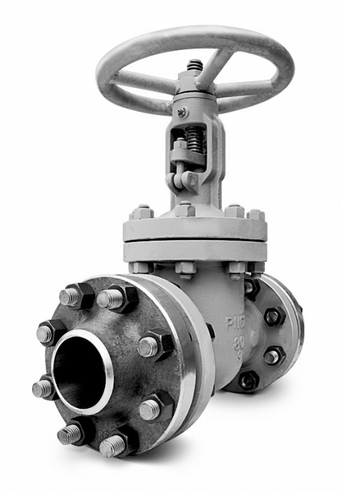 Задвижка нержавеющая 30нж64нж (PN 25, DN 50-300)